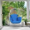 Hanging Egg Chair, Hammock Swing Chair with Hanging Kit, Egg-Shaped Hammock Swing Chair Single Seat for Indoor, Outdoor Bedroom, Patio, Garden, Alumin